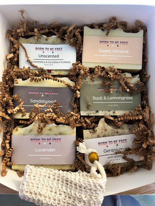 Born To Be Clean Bundle