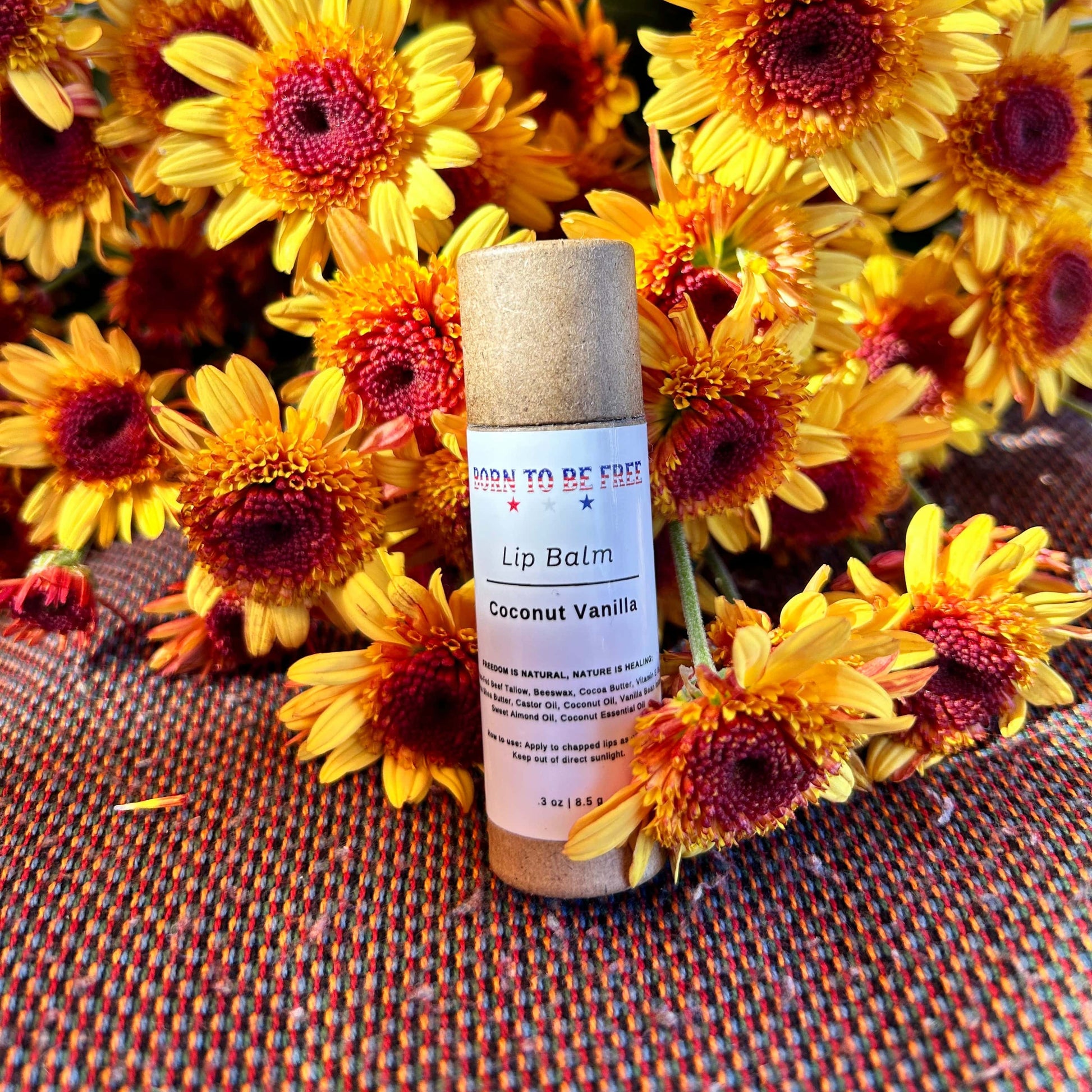 Eco Coconut Vanilla Lip Balm with beef tallow and natural scent 