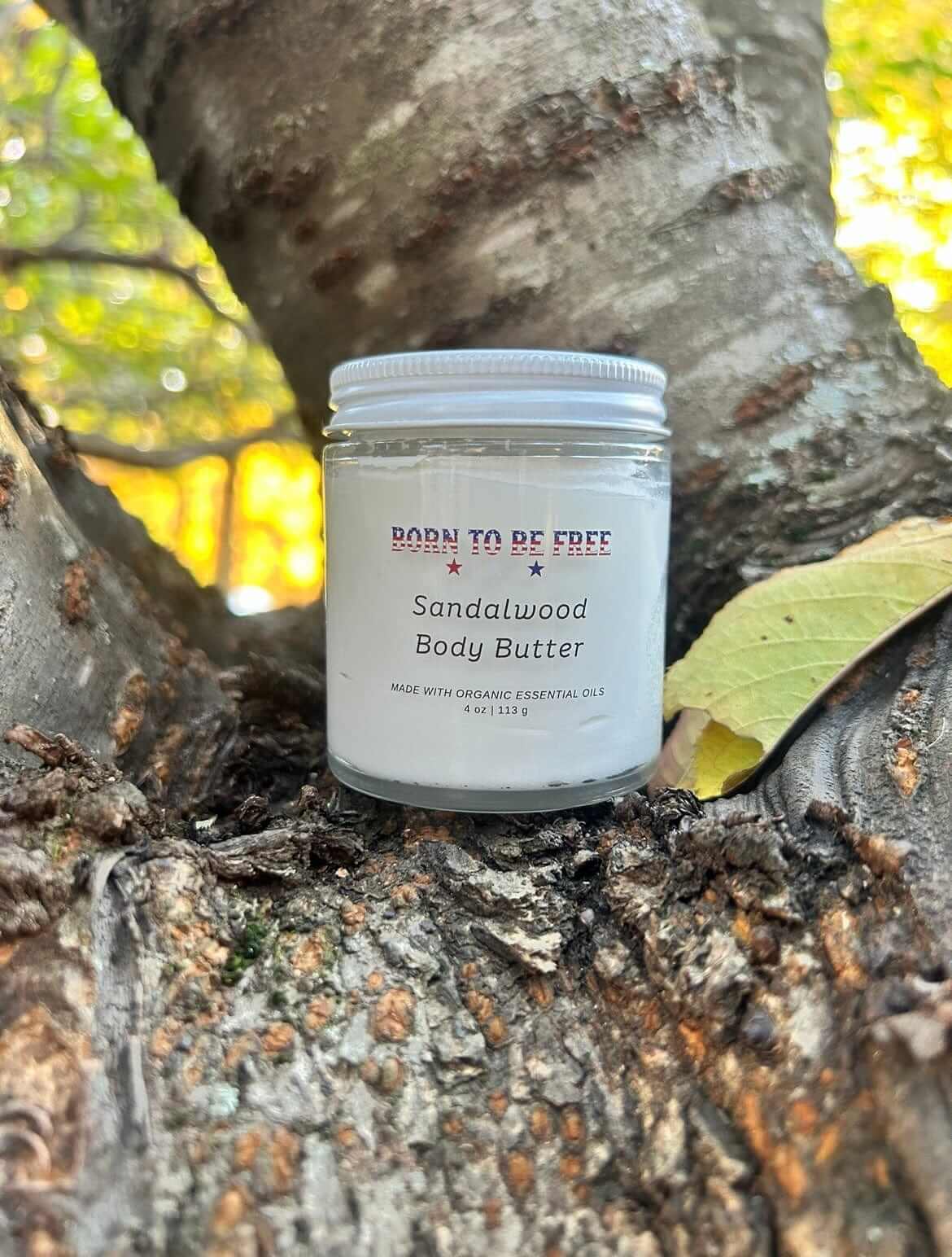 natural moisturizer for scars and stretch marks Sandalwood Body Butter
