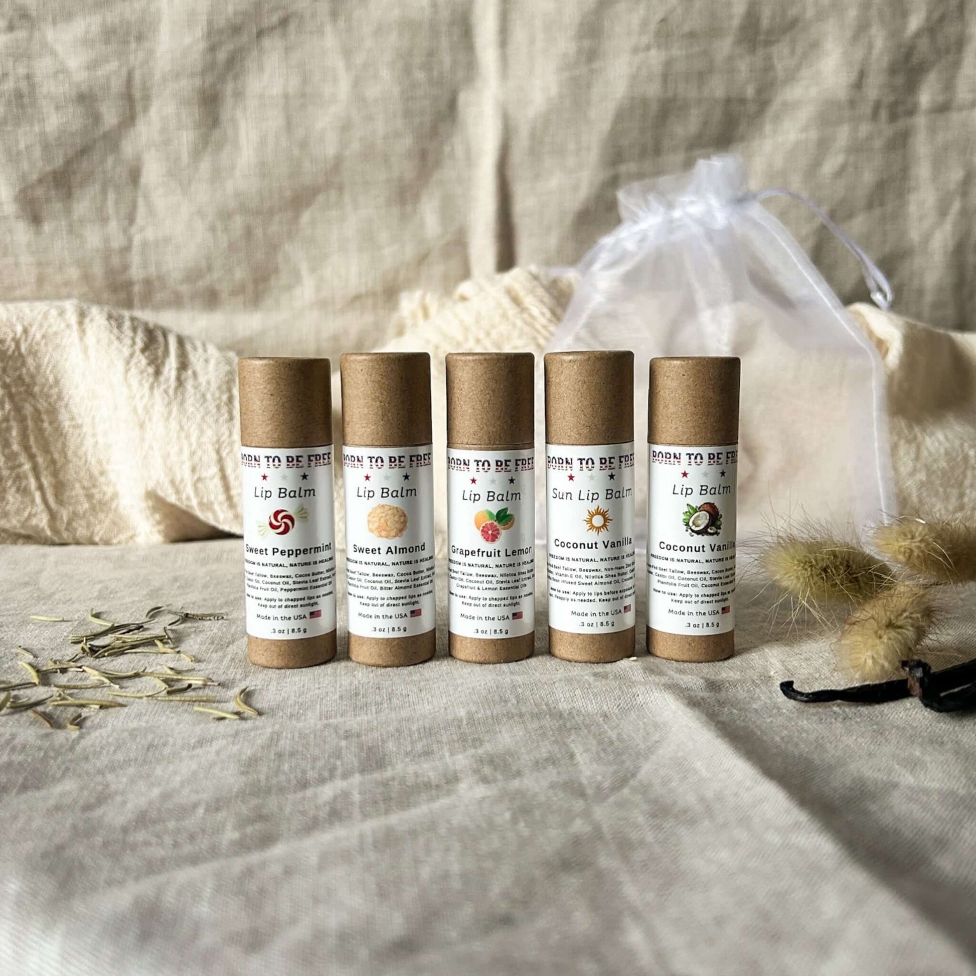 The Balm Bundle featuring five natural lip balms: Sweet Peppermint, Sweet Almond, Coconut Vanilla, Grapefruit Lemon, Sun Lip Balm.